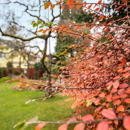 Vroni - Hochzoll * Augusta