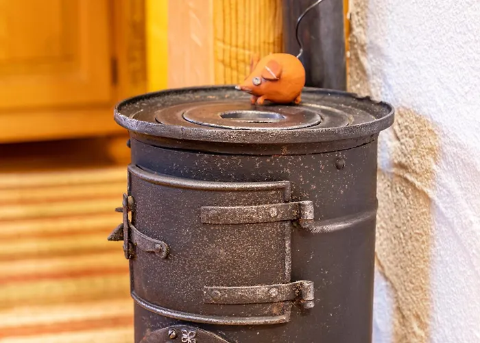 Vroni - Hochzoll * Aψβούργη